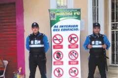 galeria_fotos_2017_2