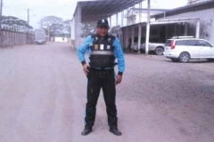 galeria_fotos_2017_4