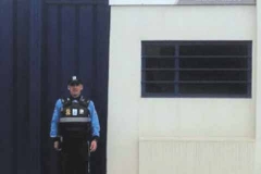 galeria_fotos_2017_5