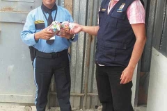 galeria_fotos_2017_9